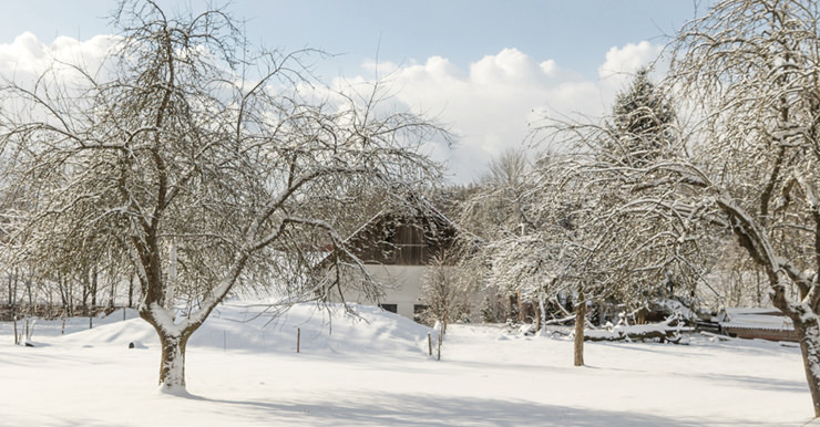 Blick auf den Bauernhof im Winter