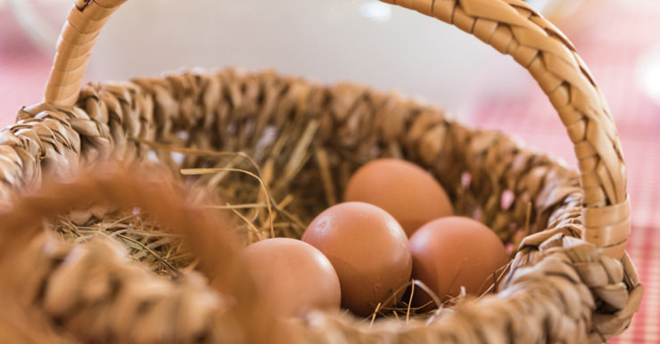 Nahaufnahme der Eier im Korb